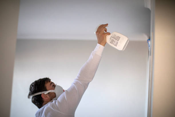 Best Residential Mold Removal  in Vernon, AL